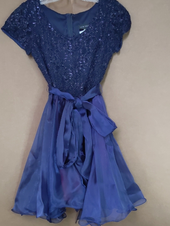 Late Edition Dresses & Skirts - Navy Blue Lace & Chiffon Fit-and-Flare Dress